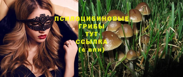 индика Всеволожск