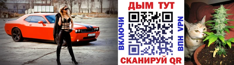 Купить  Канск  Бошки марихуана ГИДРОПОН 